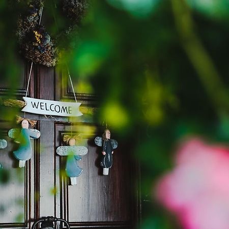 Vilnius Home Bed And Breakfast Esterno foto